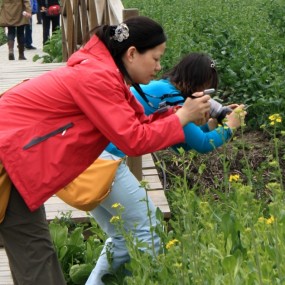 清明时节人儿醉
