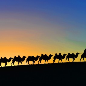 今年的秋天，从那片金色的额济纳胡杨开始