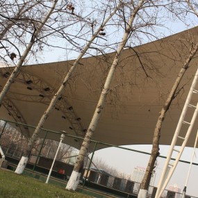 新人上图，校园随拍。