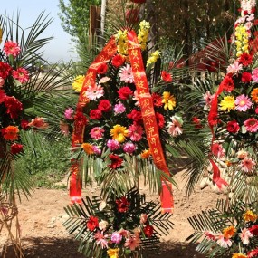 长安刘秀传统农业示范园开业