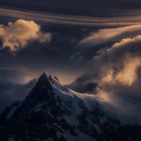 我敢肯定2015年最美的摄影组品都在这里了！