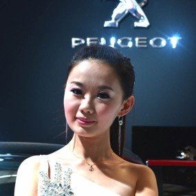 建议去拍车展的朋友，带上反光板。