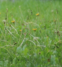 车展上，聚光灯之外。