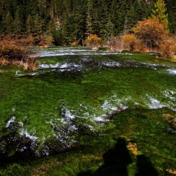 秋月九寨沟