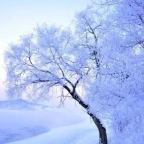 下个月，她将成为中国最美的地方！给你一场绝无仅有的视觉盛宴！