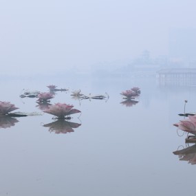 大年夜的曲江南湖