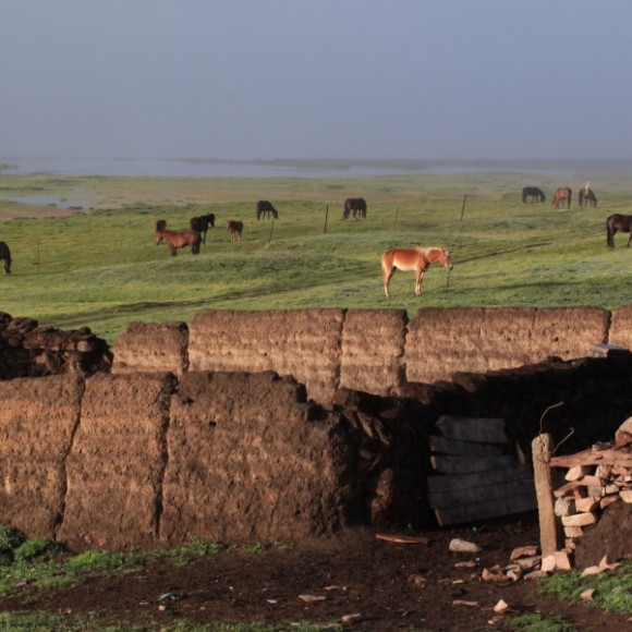 祁连草原2   雨后早晨