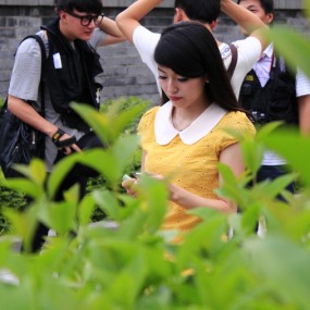 兴庆公园活动作业，标题长长长。。。