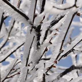 峨眉山 洛带古镇 锦里 四川