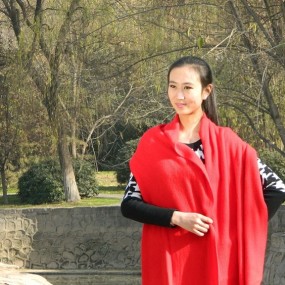 冬季兴庆公园 卡片机学拍人像