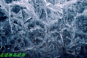 走进冰花世界