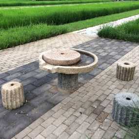 北京西郊北坞公园随拍