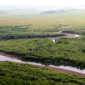亚洲第一大湿地随拍