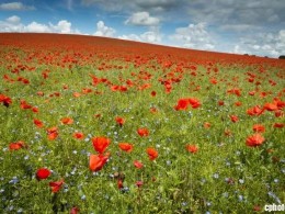 佳作欣赏|2017年度英国“视界”风光摄影师大赛获奖作品赏