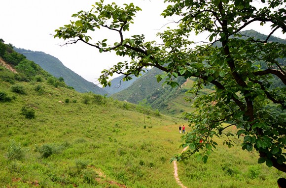 报龙峪景色。2012.6.4万像更新