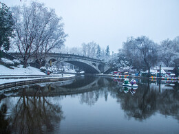 雪落长安—雪雾朦胧