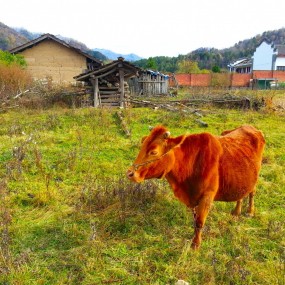 秦岭深处——厚畛子——老县城