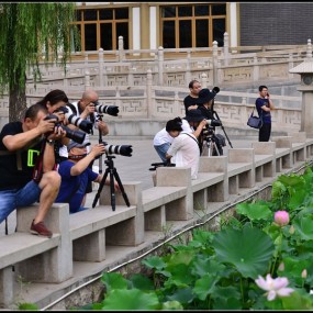 长枪短炮战南湖