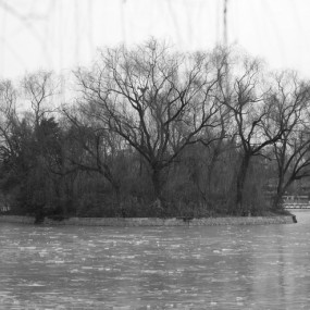 你还记得兴庆公园的那个湖中岛吗？