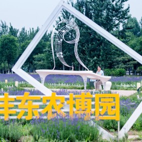 沣东农博园随拍