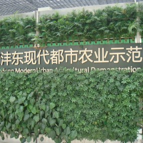 西安沣东现代都市农业示范园