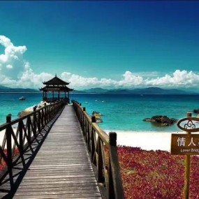 你在北方的寒夜里大雪纷飞，我在南方的艳阳里四季如春