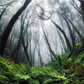 摄影技法口诀大全，记住受用终生！