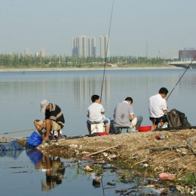 保护生态  请勿垂钓