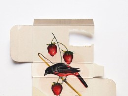 纸盒上的画｜Sara Landeta