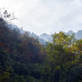 发一张层次好的照片
