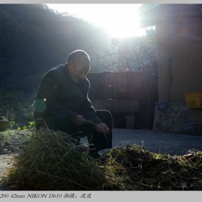 秦楚古道、牛背粱之行腾龙28-300试用