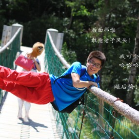 汉中 洋县 华阳 金丝猴