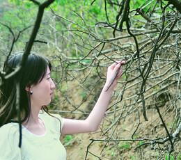 一如我眼中的绿意