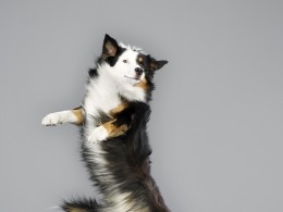 Julia Christe | 飞翔的旺星人