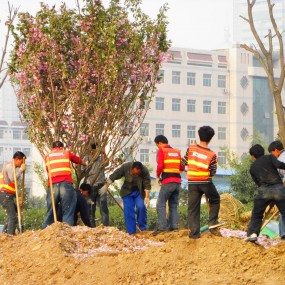 美的创造者（原创摄影）