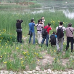 世博会里的爱拍客（IPK)