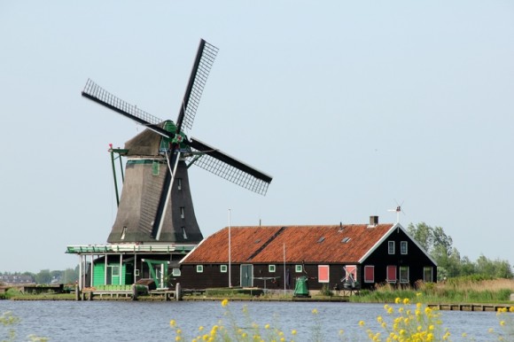 在荷兰出差期间拍摄，请欣赏