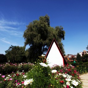 拍西安植物园风景