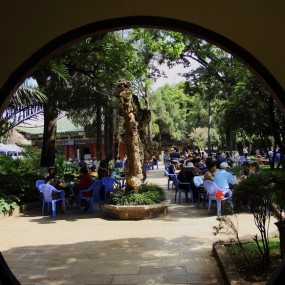 大观公园随拍（续）