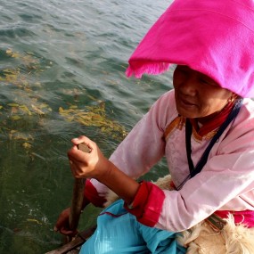 求帮忙~~~~多谢！