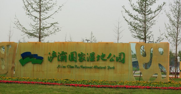 浐灞国家湿地公园