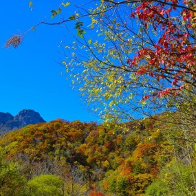 秦岭秋色