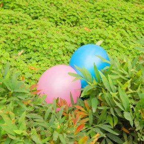 10月31日活动-我拍的是快乐！