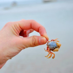 亲~我来帮你搬家！