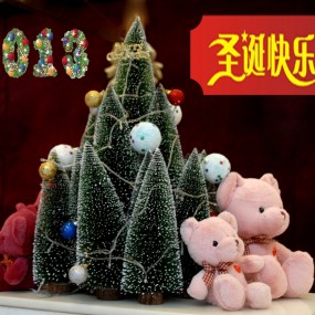 祝西安摄影论坛圣诞节快乐