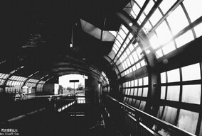 不一样 但又一样