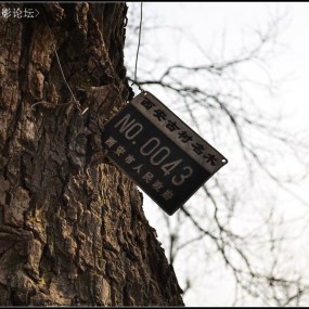 冬日．城市之吻<景物篇