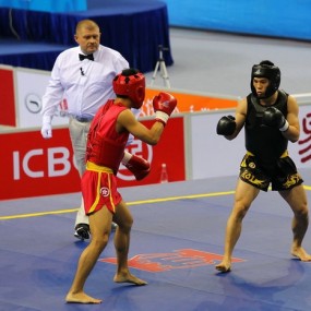 亚运武术散打比赛