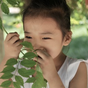 《凌霄藤下小丫丫》