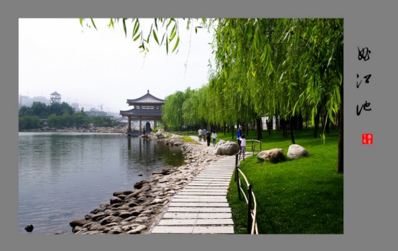 好久没来了，交一组作业请老师指导，曲江池风光